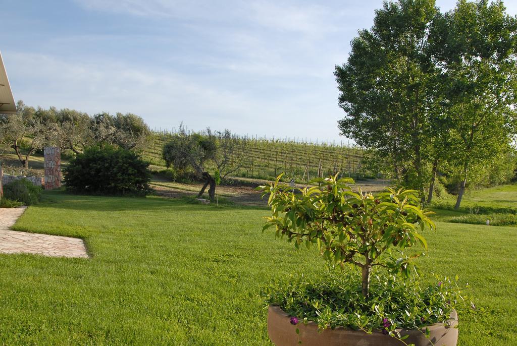 Agriturismo Arte Et Agricoltura Tuscania Exterior foto