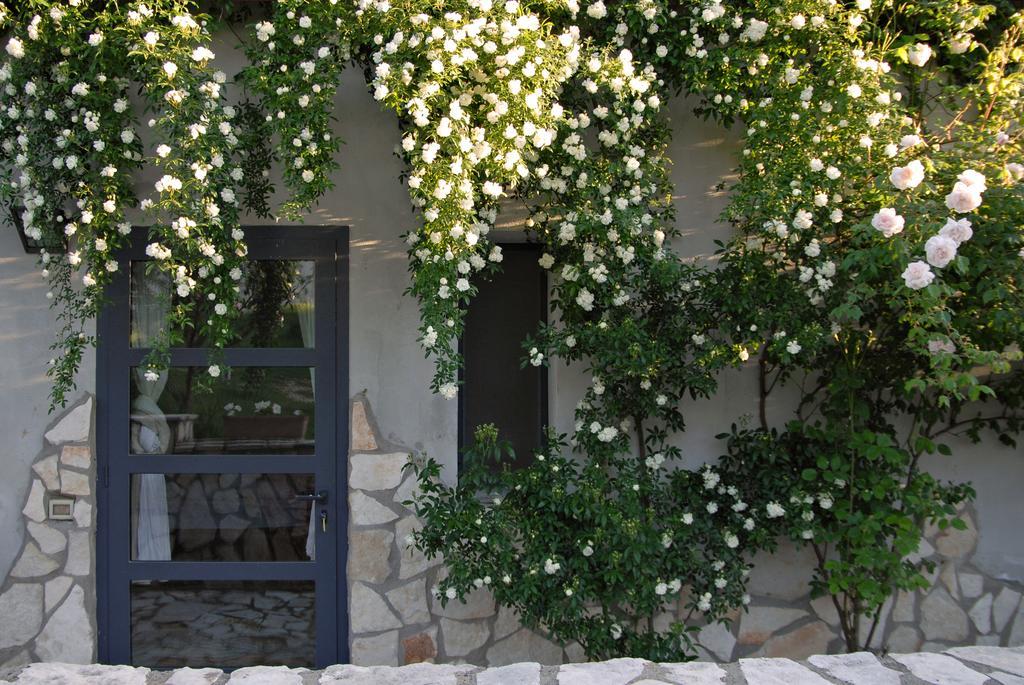 Agriturismo Arte Et Agricoltura Tuscania Exterior foto